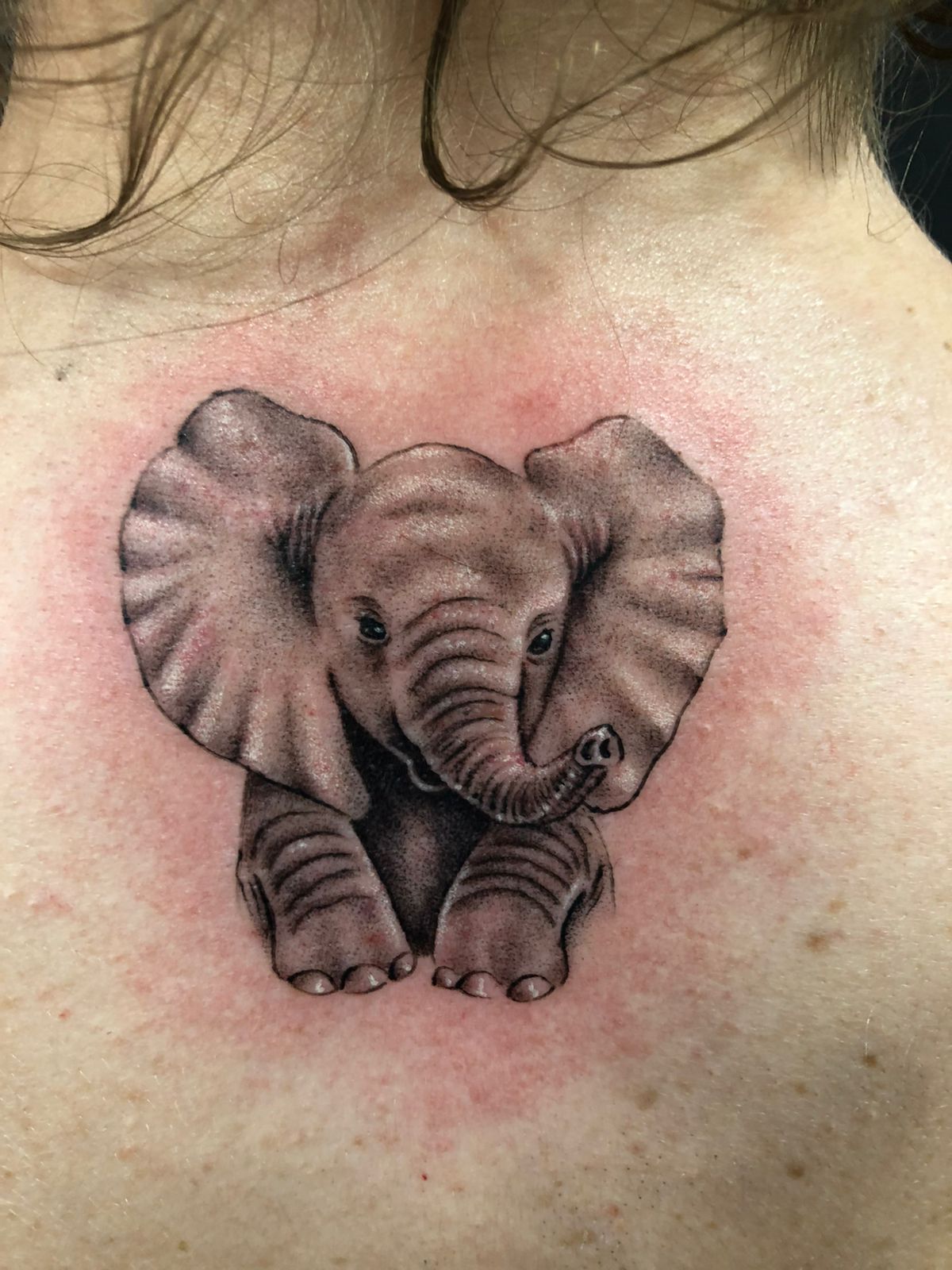 Tatuagem micro-realismo 2