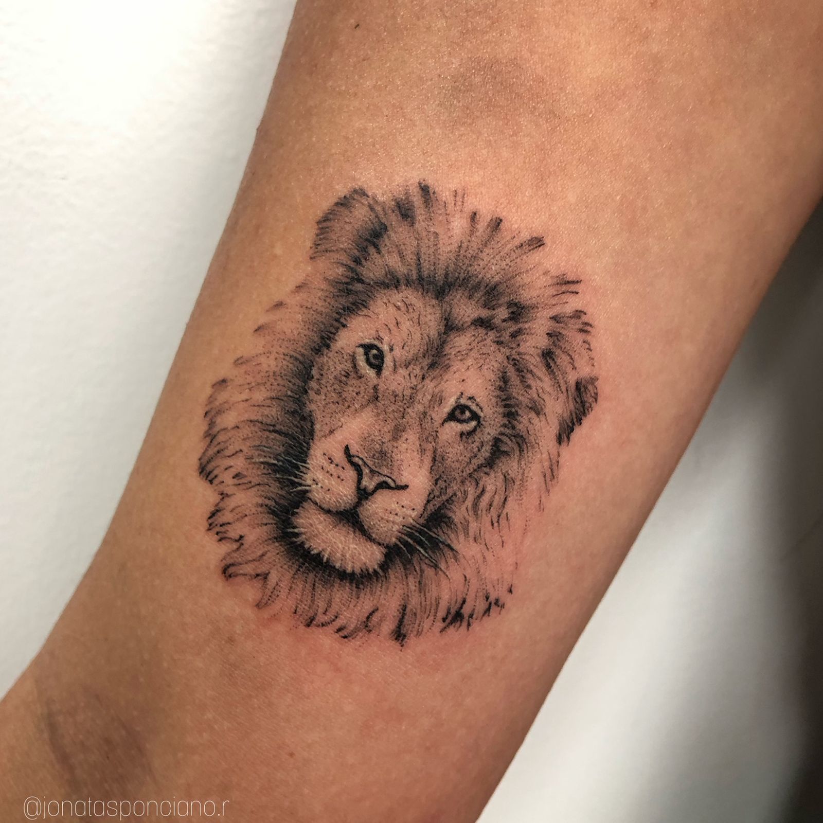 Tatuagem micro-realismo 4