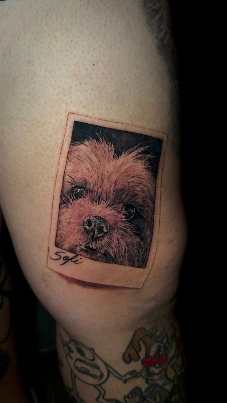 Tatuagem micro-realismo 9