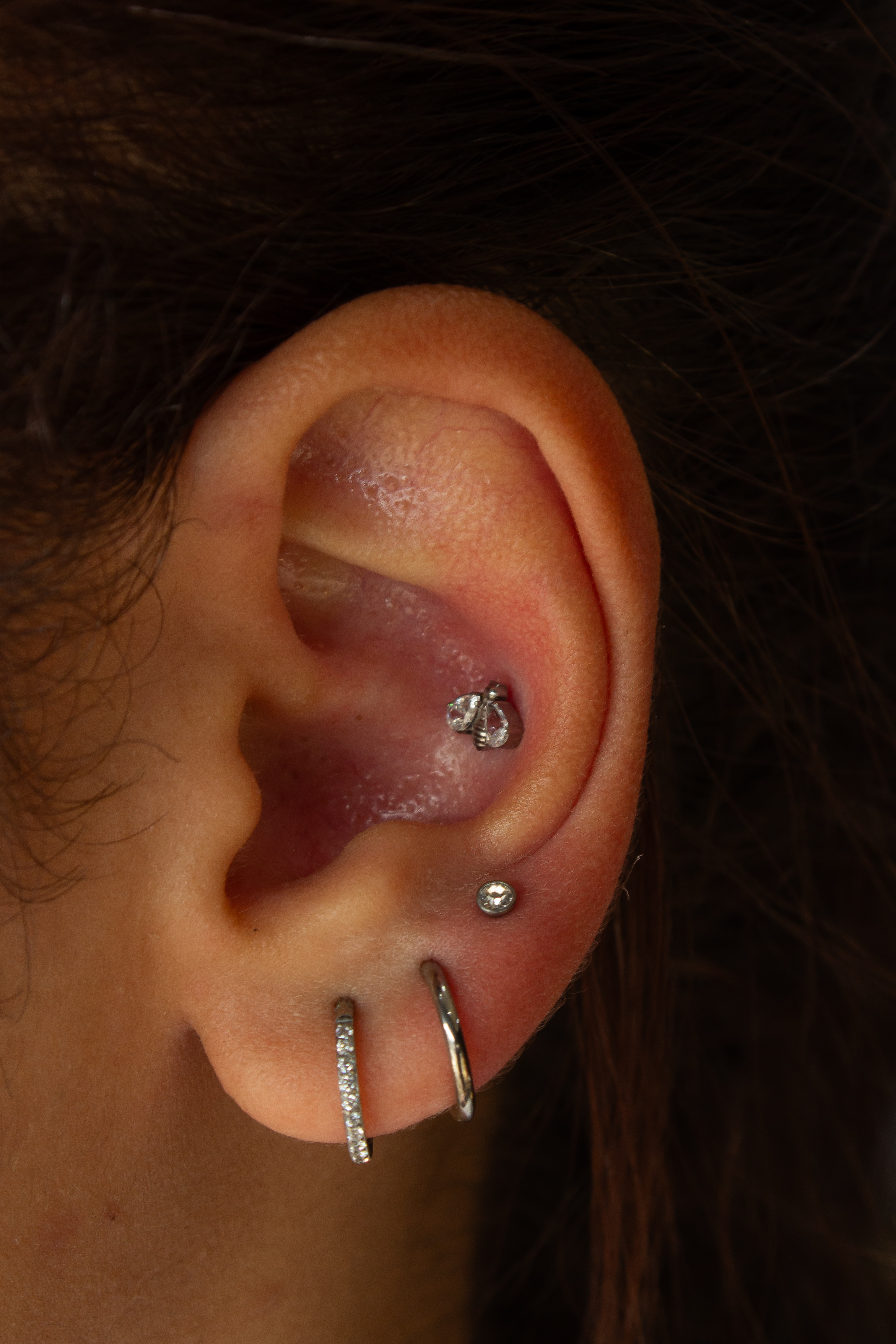 Orelhas - Studio Jonatas Ponciano