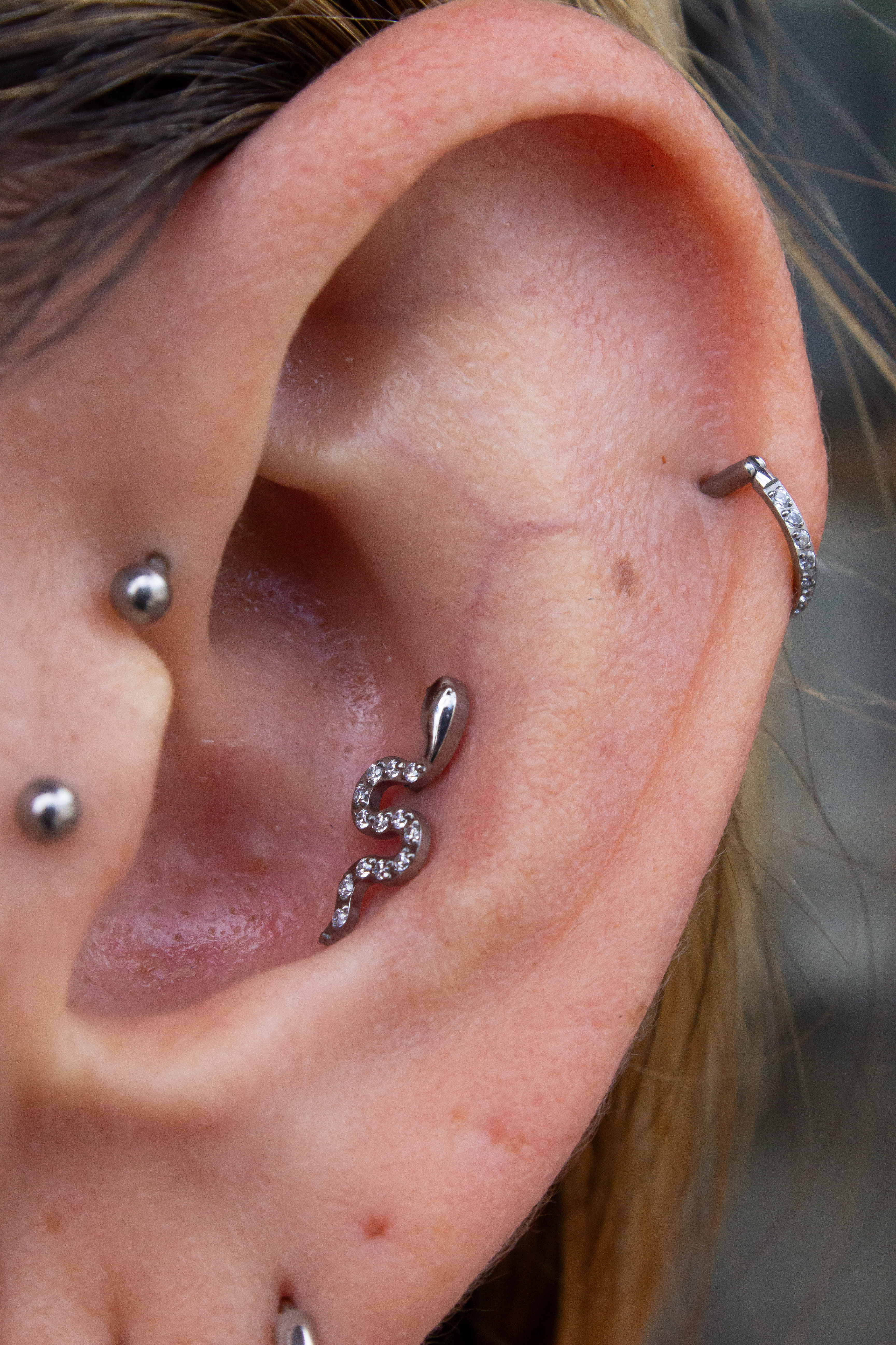 Orelhas - Studio Jonatas Ponciano