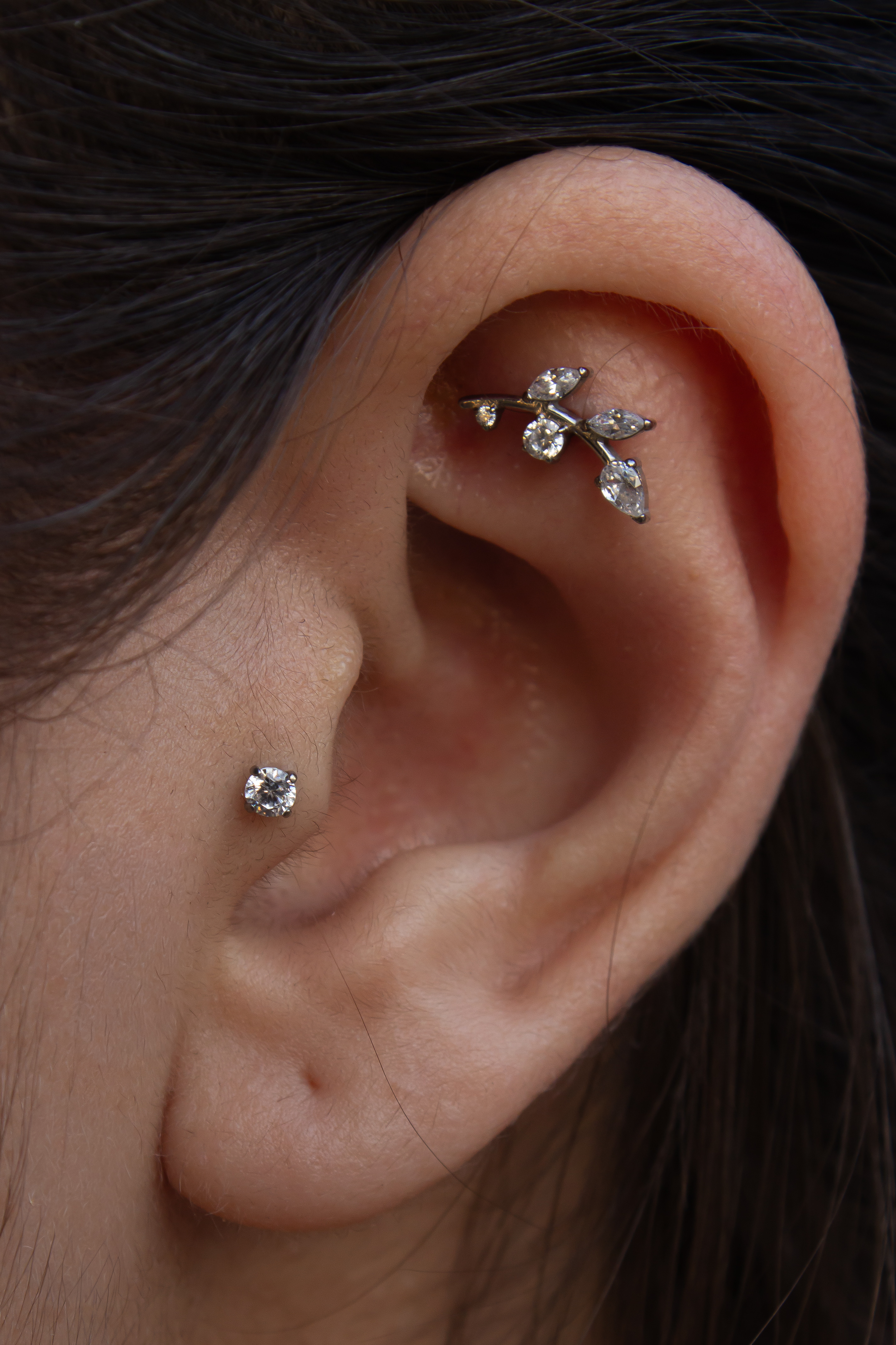 Orelhas - Studio Jonatas Ponciano