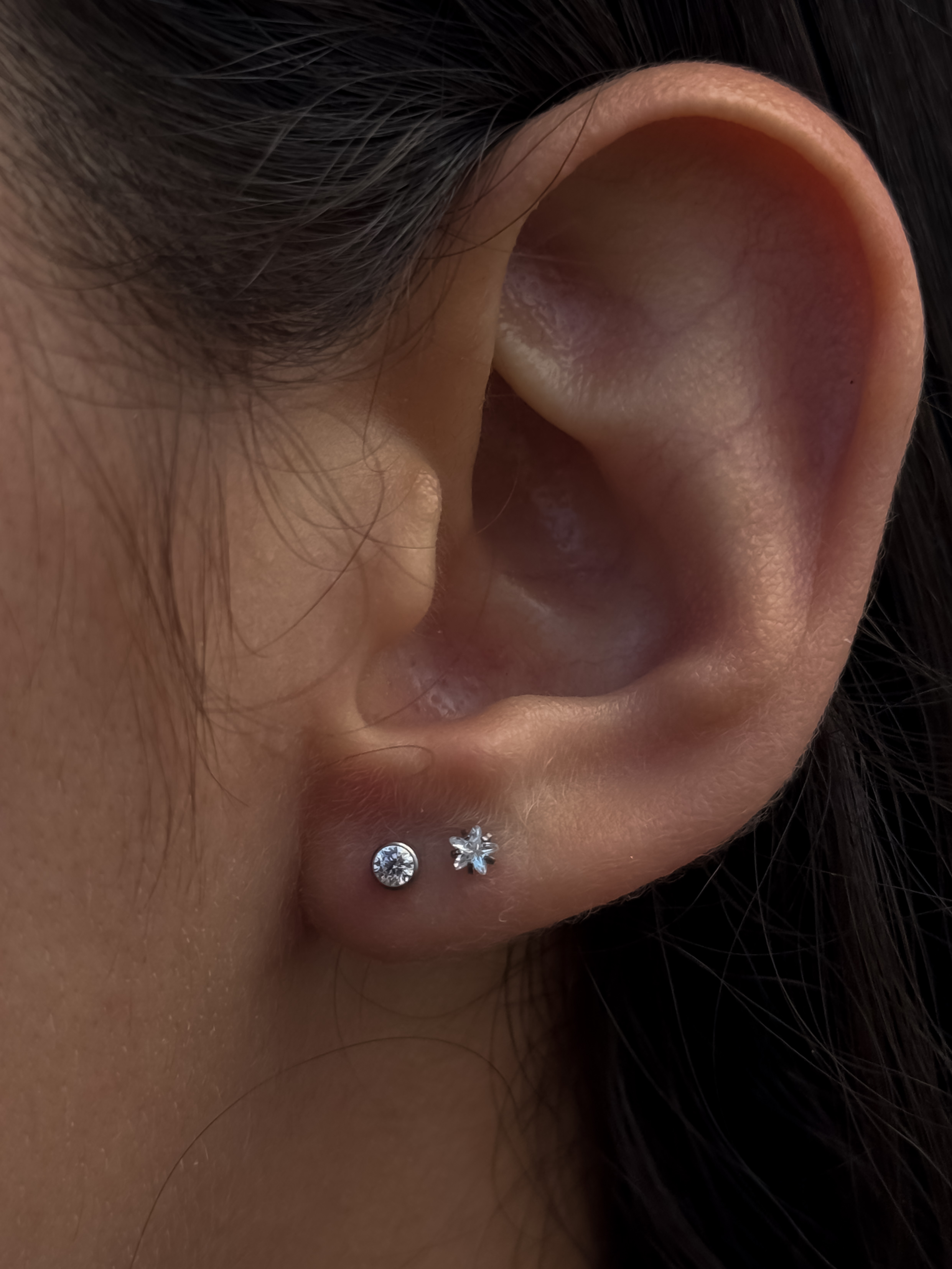 Orelhas - Studio Jonatas Ponciano